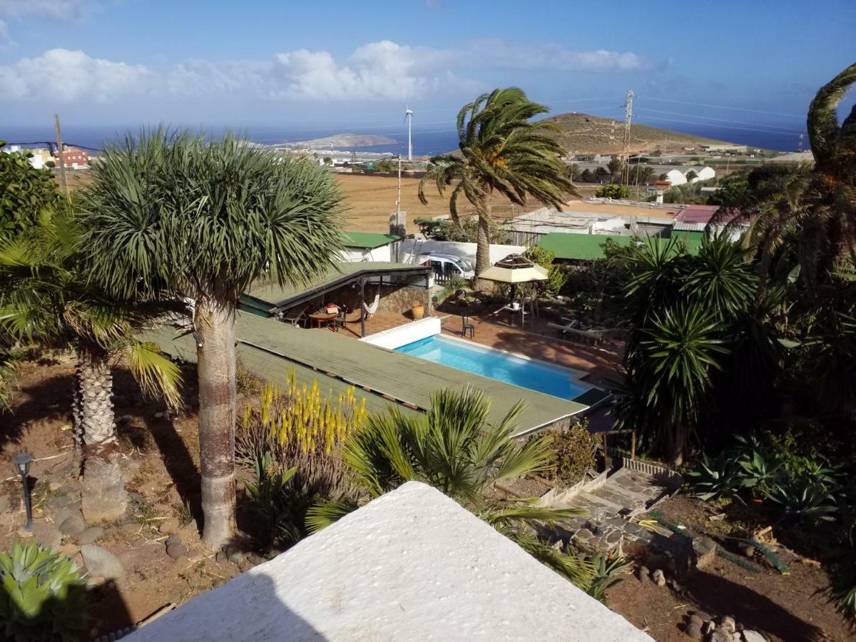 Palmeras Ingenio Luaran gambar