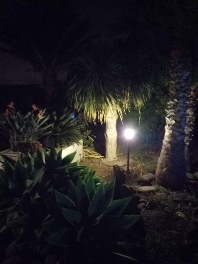 Palmeras Ingenio Luaran gambar
