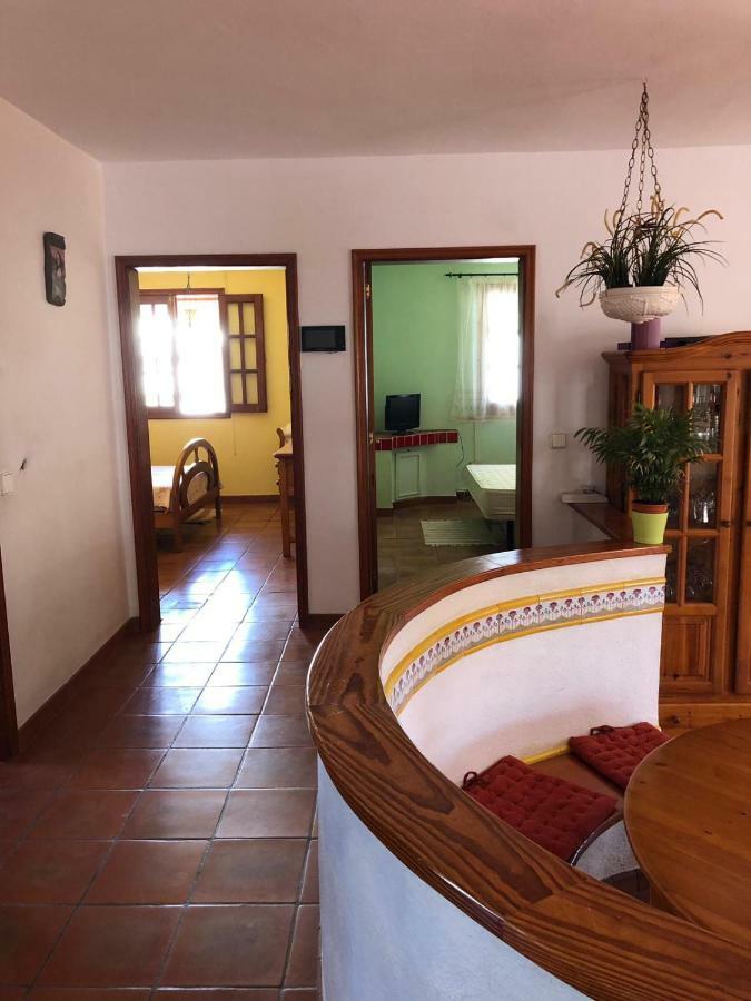 Palmeras Ingenio Luaran gambar